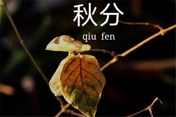 秋分白天黑夜有什么特點(diǎn) 秋分白天和黑夜一樣長(zhǎng)嗎