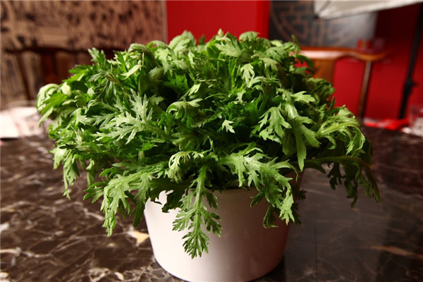 茼蒿吃葉子還是吃桿 茼蒿吃多了有什么壞處 茼蒿吃葉子還是吃桿 茼蒿吃多了有什么壞處