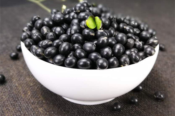 黑豆有助于懷孕嗎 黑豆怎么吃對卵泡發(fā)育好 黑豆有助于懷孕嗎 黑豆怎么吃對卵泡發(fā)育好