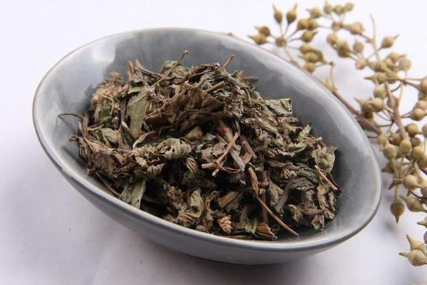 車(chē)前草的營(yíng)養(yǎng)成分 車(chē)前草的副作用有哪些