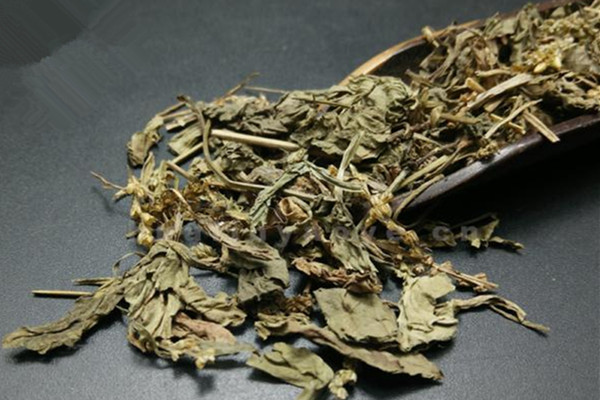 車(chē)前草的營(yíng)養(yǎng)成分 車(chē)前草的副作用有哪些