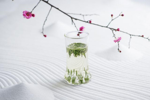 竹葉青茶什么時(shí)候喝好 竹葉青茶晚上能喝嗎 竹葉青茶什么時(shí)候喝好 竹葉青茶晚上能喝嗎