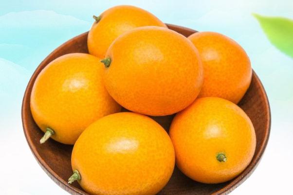 小金桔要不要剝皮 小金桔要怎么才保鮮 小金桔要不要剝皮 小金桔要怎么才保鮮