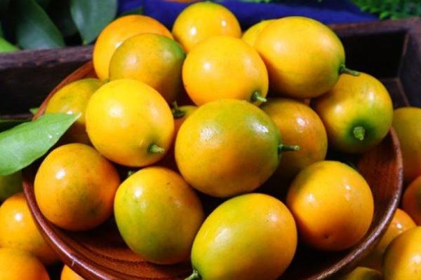 小金桔有什么藥用價值 小金桔有減肥作用嗎 小金桔有什么藥用價值 小金桔有減肥作用嗎