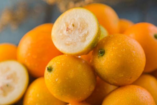 小金桔的作用與功效 小金桔泡水喝的功效與作用 小金桔的作用與功效 小金桔泡水喝的功效與作用