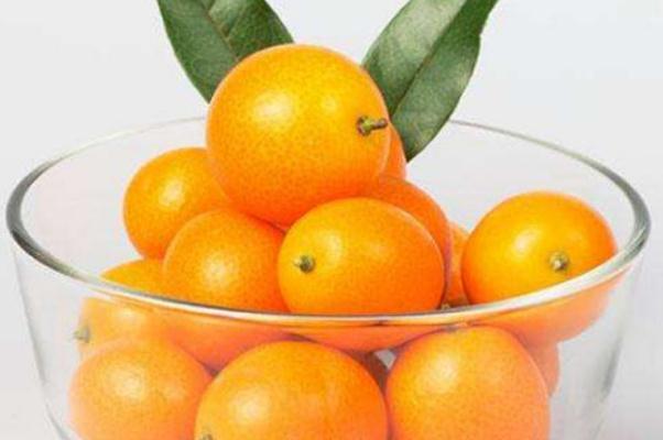 小金桔有什么藥用價值 小金桔有減肥作用嗎 小金桔有什么藥用價值 小金桔有減肥作用嗎