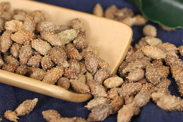 蒼耳子可以降血壓?jiǎn)?蒼耳子可以降血糖嗎 蒼耳子可以降血壓?jiǎn)?蒼耳子可以降血糖嗎