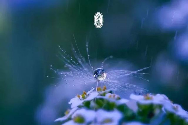 寒露吃什么傳統(tǒng)食物 寒露有什么風(fēng)俗活動(dòng) 寒露吃什么傳統(tǒng)食物 寒露有什么風(fēng)俗活動(dòng)