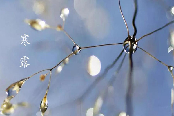 寒露吃什么傳統(tǒng)食物 寒露有什么風(fēng)俗活動(dòng) 寒露吃什么傳統(tǒng)食物 寒露有什么風(fēng)俗活動(dòng)