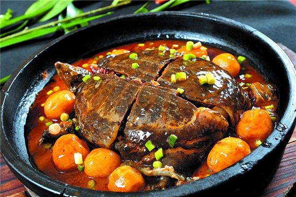 甲魚野生的和養(yǎng)殖的怎么區(qū)分 野生甲魚有什么滋補(bǔ)作用