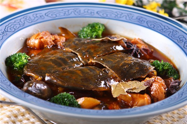 甲魚野生的和養(yǎng)殖的怎么區(qū)分 野生甲魚有什么滋補(bǔ)作用