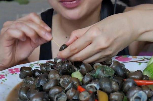 田螺的尾部可以吃嗎 田螺是不是海鮮 田螺的尾部可以吃嗎 田螺是不是海鮮