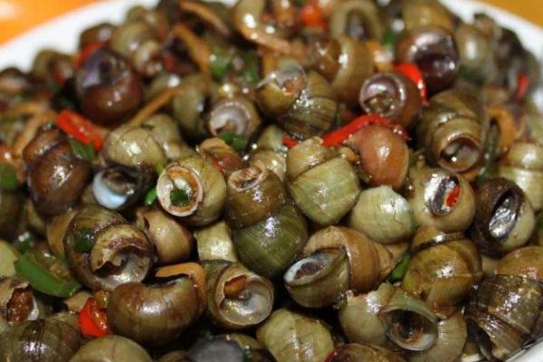 田螺的尾部可以吃嗎 田螺是不是海鮮 田螺的尾部可以吃嗎 田螺是不是海鮮