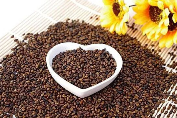 決明子可以和菊花一起泡嗎 決明子可以和黃芪一起泡水喝嗎 決明子可以和菊花一起泡嗎 決明子可以和黃芪一起泡水喝嗎