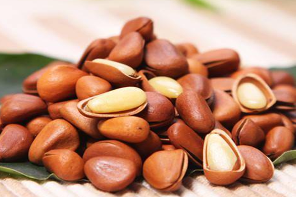 松子的營養(yǎng)價值 松子有什么功效 松子的營養(yǎng)價值 松子有什么功效