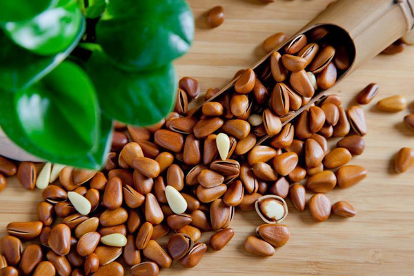 松子的營養(yǎng)價值 松子有什么功效 松子的營養(yǎng)價值 松子有什么功效