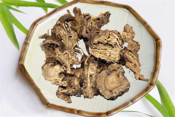 蒼術可以煲湯嗎 蒼術的功效和作用