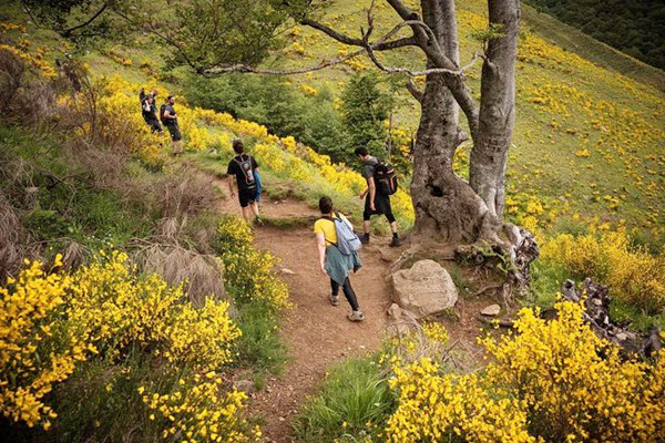 爬山減肥效果好嗎 爬山可以減掉大肚腩嗎 爬山減肥效果好嗎 爬山可以減掉大肚腩嗎