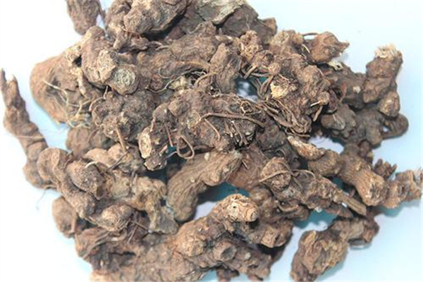 蒼術可以煲湯嗎 蒼術的功效和作用