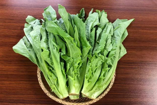 油麥菜有什么營養(yǎng)成分 油麥菜可以多吃嗎