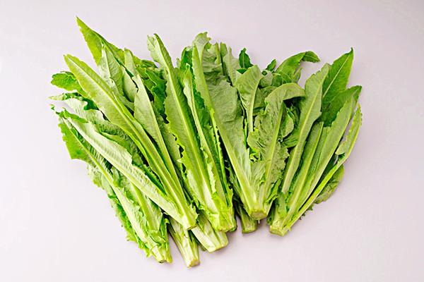 油麥菜有什么營養(yǎng)成分 油麥菜可以多吃嗎