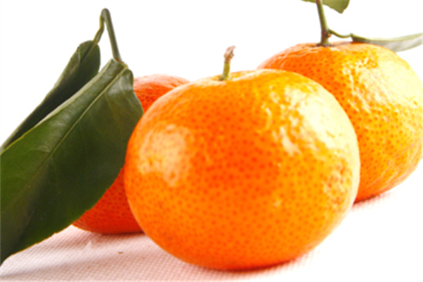 沙糖桔可以做陳皮嗎 沙糖桔的功效和營(yíng)養(yǎng)