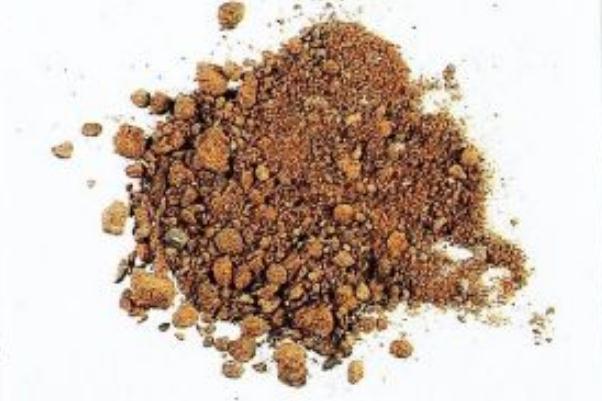 麝香是什么動物身上的 麝香是什么味道