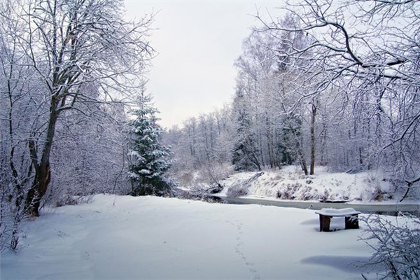 冬季補(bǔ)什么的好季節(jié) 冬季是補(bǔ)陽(yáng)氣還是補(bǔ)陰