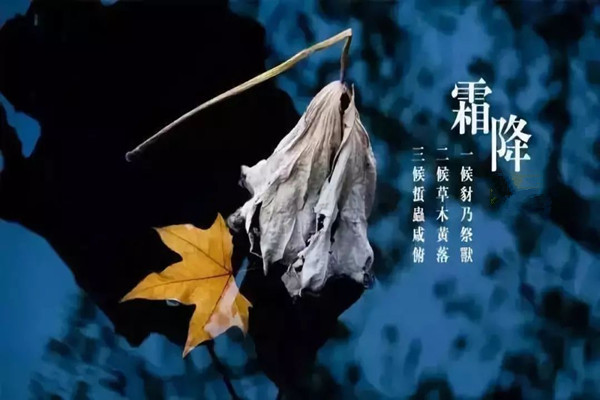 霜降一定會下霜嗎 霜降溫度大約是多少