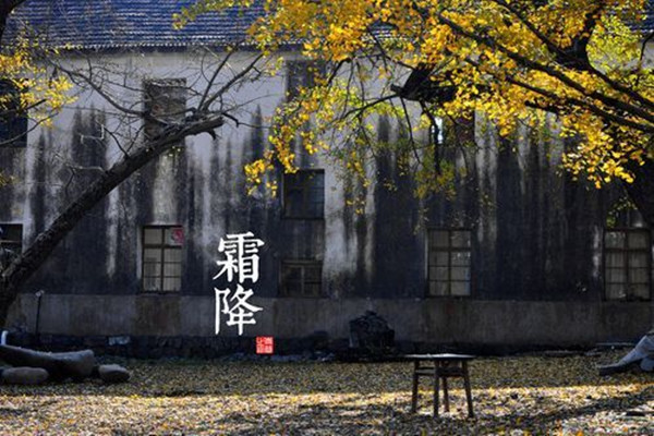 霜降一定會下霜嗎 霜降溫度大約是多少