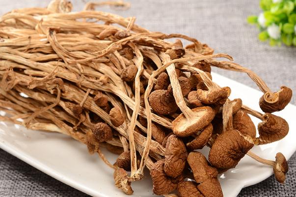 茶樹菇可以隔夜吃嗎 茶樹菇可以保存多久 茶樹菇可以隔夜吃嗎 茶樹菇可以保存多久