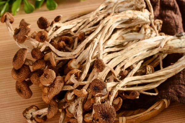 茶樹(shù)菇孕婦能吃不 茶樹(shù)菇孕婦吃對(duì)胎兒有影響嗎 茶樹(shù)菇孕婦能吃不 茶樹(shù)菇孕婦吃對(duì)胎兒有影響嗎