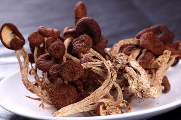 茶樹菇可以隔夜吃嗎 茶樹菇可以保存多久 茶樹菇可以隔夜吃嗎 茶樹菇可以保存多久