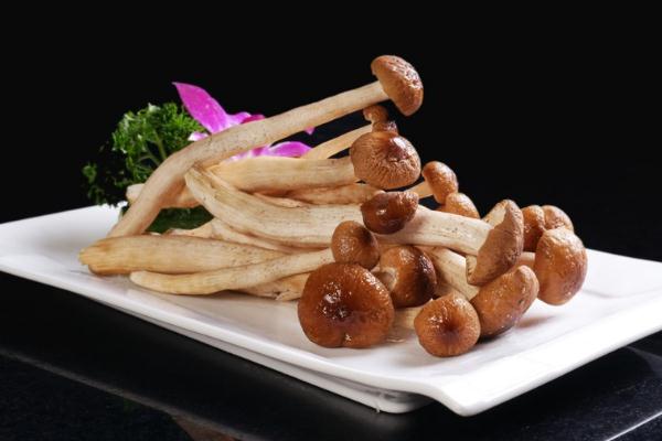 茶樹(shù)菇孕婦能吃不 茶樹(shù)菇孕婦吃對(duì)胎兒有影響嗎 茶樹(shù)菇孕婦能吃不 茶樹(shù)菇孕婦吃對(duì)胎兒有影響嗎