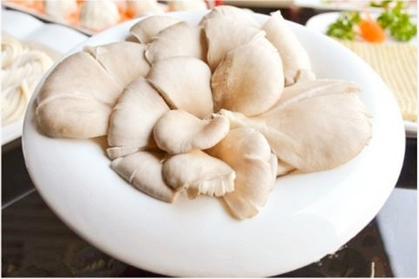 平菇發(fā)粘還能吃嗎 平菇背面長(zhǎng)疙瘩能吃嗎 平菇發(fā)粘還能吃嗎 平菇背面長(zhǎng)疙瘩能吃嗎