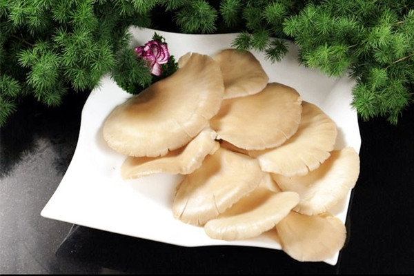 平菇發(fā)粘還能吃嗎 平菇背面長(zhǎng)疙瘩能吃嗎 平菇發(fā)粘還能吃嗎 平菇背面長(zhǎng)疙瘩能吃嗎