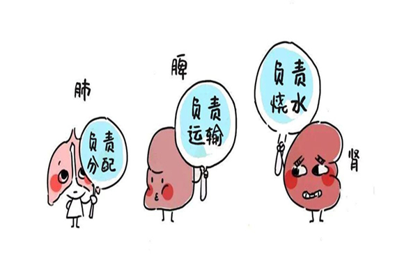 氣血不足會(huì)導(dǎo)致脫發(fā)嗎 氣血不足對(duì)身體造成哪些影響