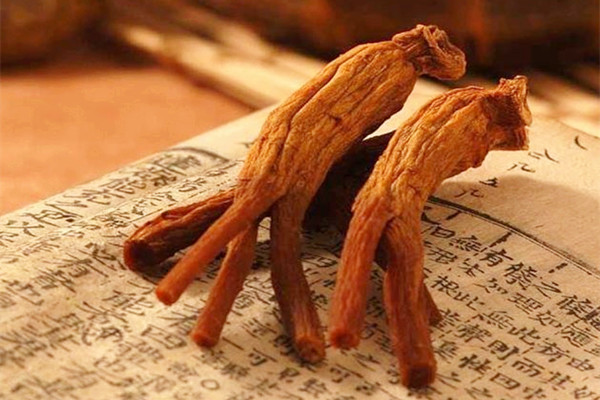 紅參能治療失眠嗎 紅參能治療咳嗽嗎 紅參能治療失眠嗎 紅參能治療咳嗽嗎