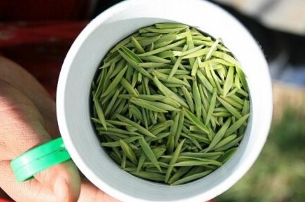 綠茶有提神的功效嗎 綠茶有降血糖的功效嗎 綠茶有提神的功效嗎 綠茶有降血糖的功效嗎