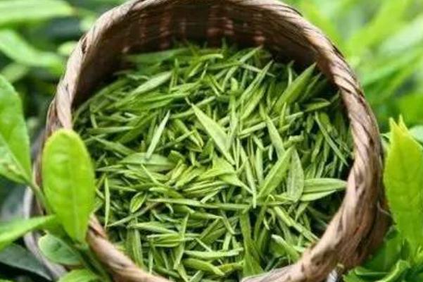 綠茶什么時(shí)候喝最好 綠茶什么季節(jié)喝最好