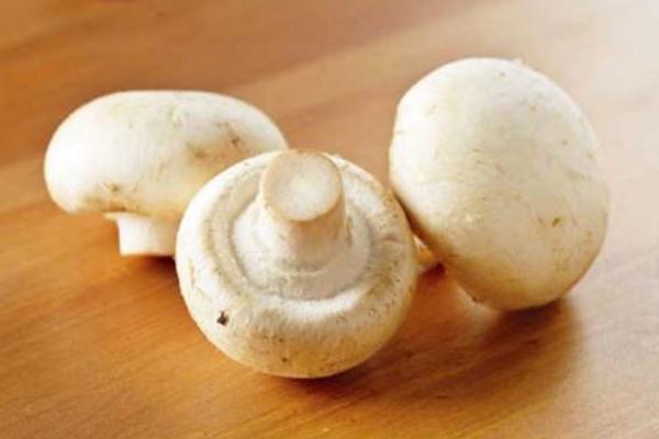 口蘑孕婦可以吃嗎 孕婦吃口蘑的注意事項(xiàng) 口蘑孕婦可以吃嗎 孕婦吃口蘑的注意事項(xiàng)