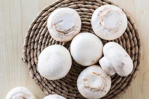 口蘑對身體有什么好處 口蘑對減肥有效果嗎