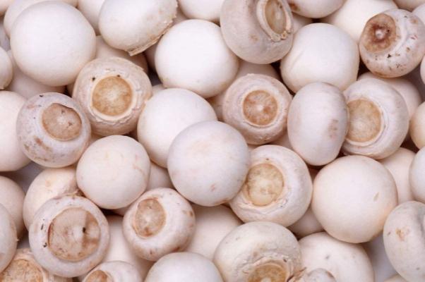 口蘑孕婦可以吃嗎 孕婦吃口蘑的注意事項(xiàng) 口蘑孕婦可以吃嗎 孕婦吃口蘑的注意事項(xiàng)