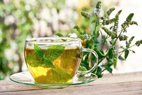 薄荷茶是涼性還是熱性 薄荷茶有什么功效 薄荷茶是涼性還是熱性 薄荷茶有什么功效