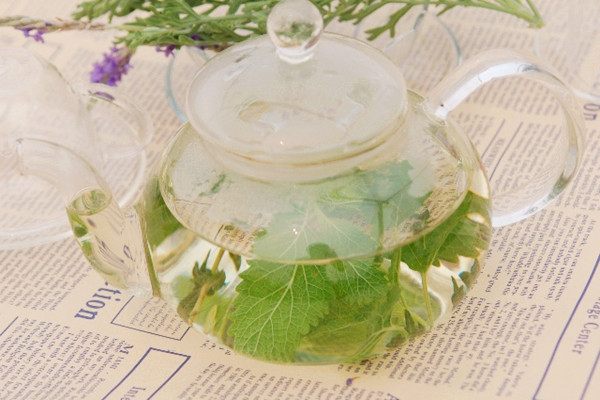 薄荷茶可以空腹喝嗎 薄荷茶什么時(shí)候喝比較好 薄荷茶可以空腹喝嗎 薄荷茶什么時(shí)候喝比較好