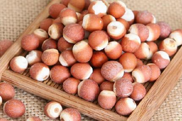芡實(shí)能空腹吃嗎 芡實(shí)晚上可以吃嗎