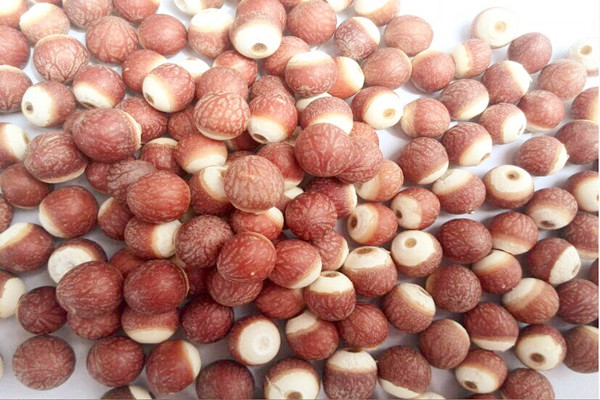 芡實(shí)能空腹吃嗎 芡實(shí)晚上可以吃嗎