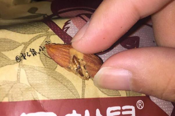 三只松鼠是哪里的品牌 良品鋪?zhàn)雍腿凰墒竽膫€好吃