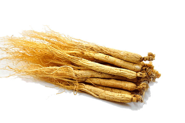 長(zhǎng)白山人參是涼性還是熱性 長(zhǎng)白山人參有什么功效