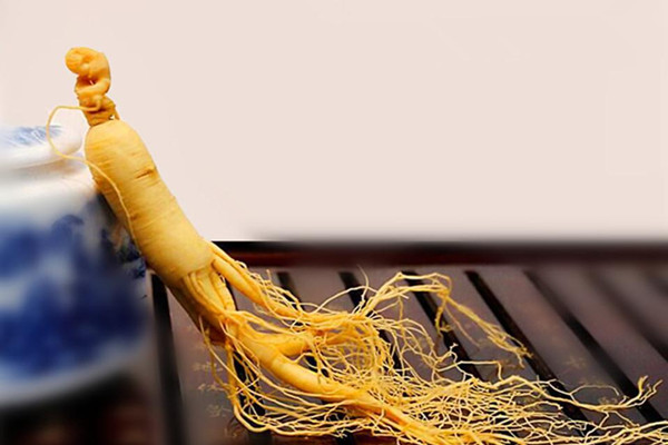 長(zhǎng)白山人參是涼性還是熱性 長(zhǎng)白山人參有什么功效